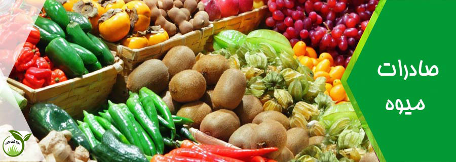 صادرات انواع میوه ایرانی